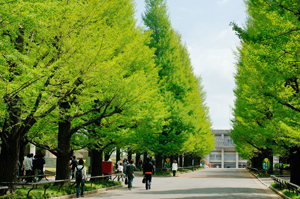 Keio Hiyoshi Campus